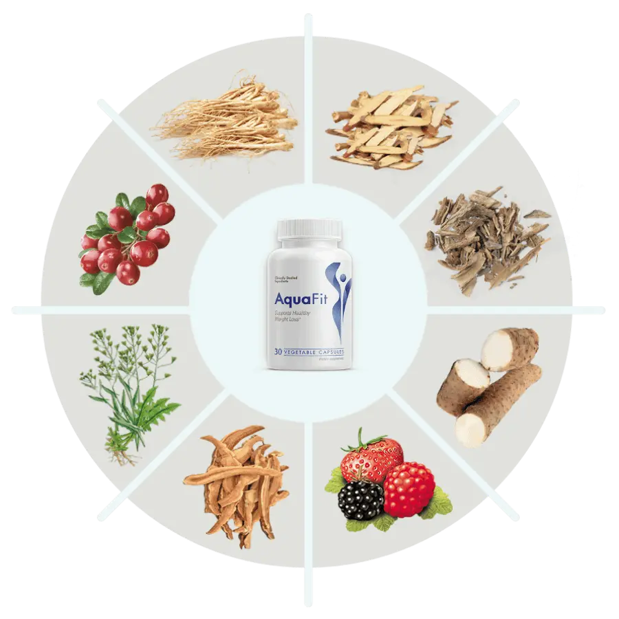 AquaFit ingredients